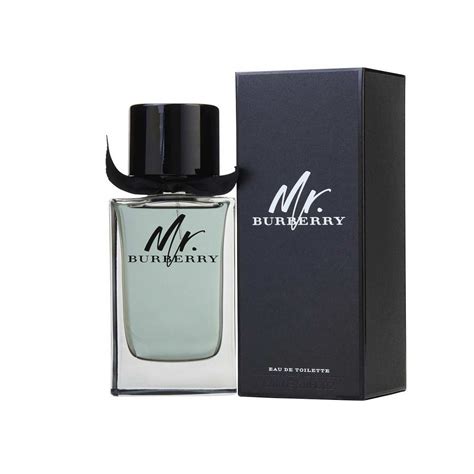 mr burberry toilette|burberry eau de toilette men.